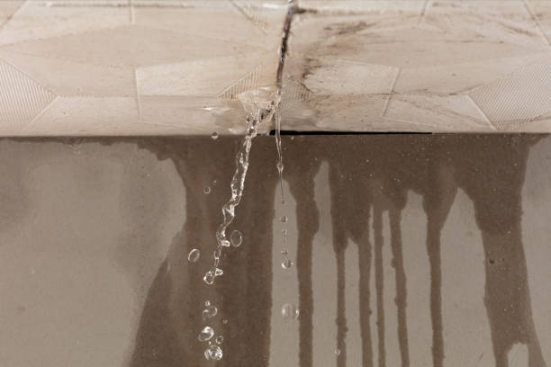 Professional Structural Drying technician working in Blair, WV